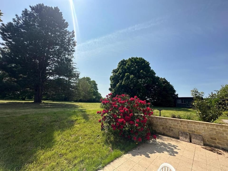 Spring, Day, Natural landscape, Garden