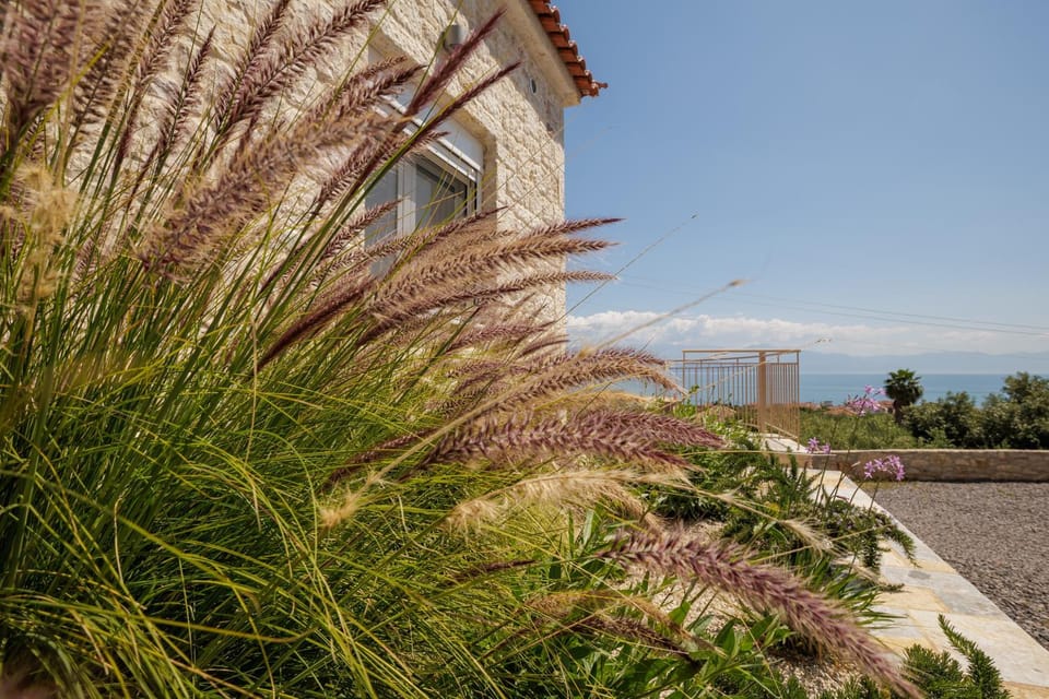 Petra & Thea Chrani Villas Villa in Messenia
