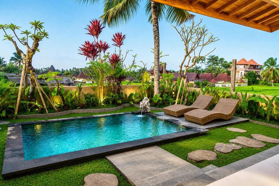 Spring, Garden, Swimming pool