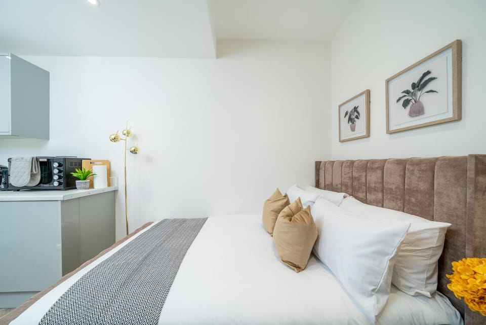 Modern Studio Apartments with Parking SW16 London Apartment in London Borough of Croydon