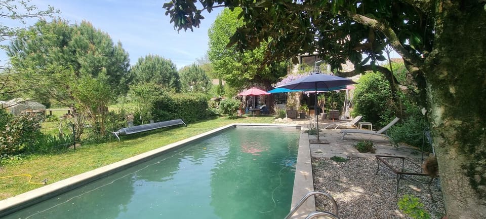 Garden, Swimming pool, Swimming pool