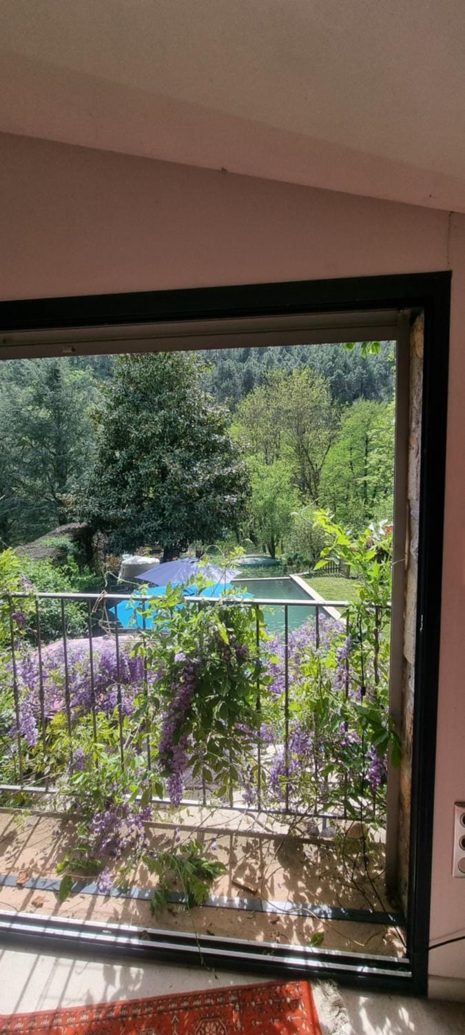 Pool view, Swimming pool, Swimming pool