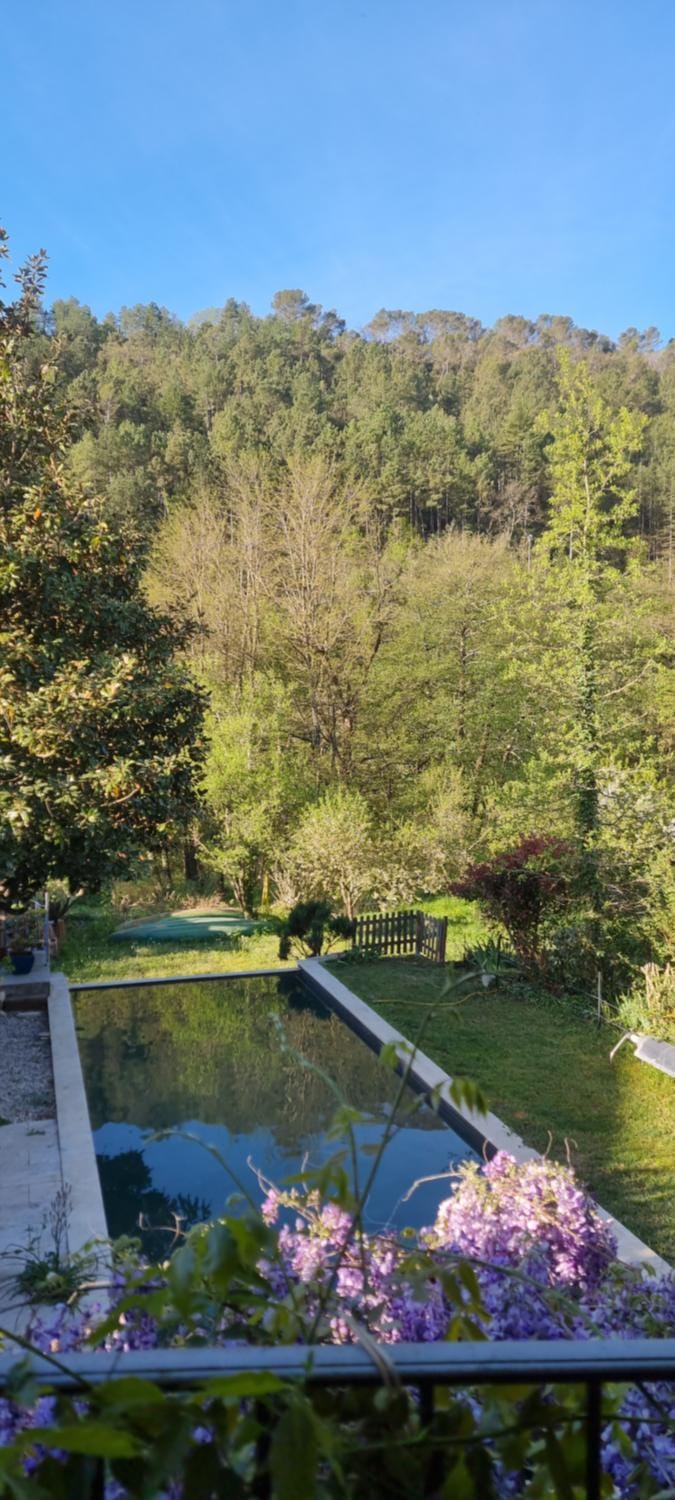 Pool view, Swimming pool