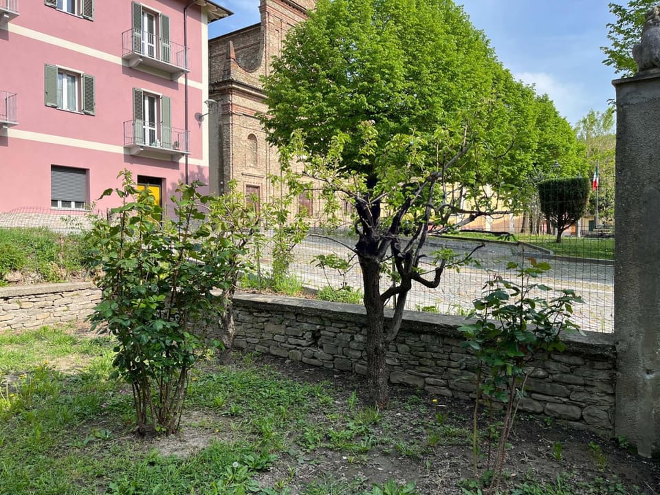 Garden, Garden view