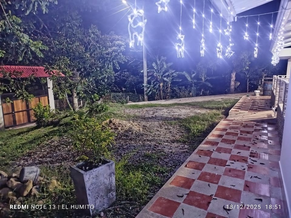 Garden view
