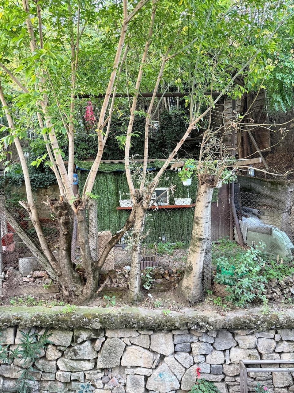 Quiet stay near Central Park with garden view Apartment in Cluj-Napoca