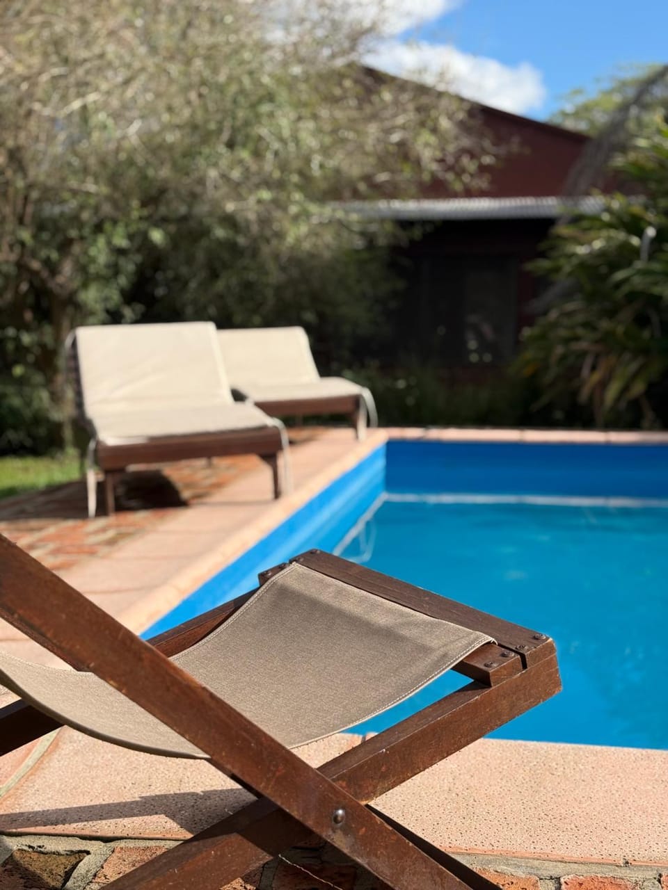 Patio, Day, Natural landscape, Pool view, Swimming pool, sunbed