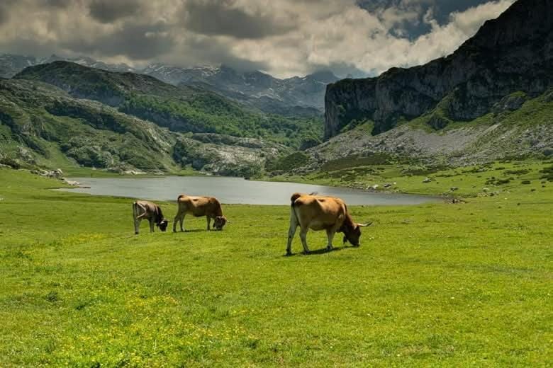 Casa Elena Chalet in Asturias