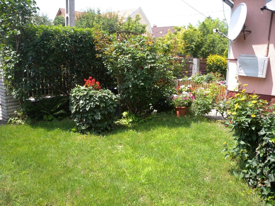 Summer, Garden
