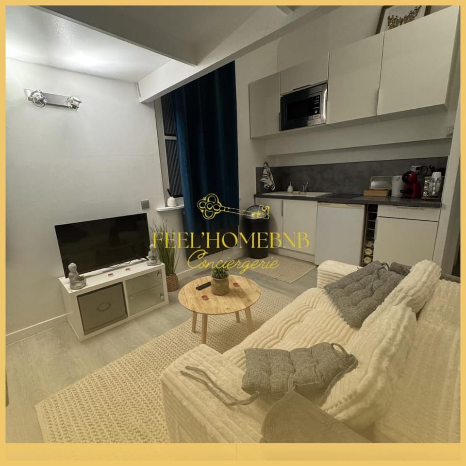 Le Vieux Nancéein Very central Complimentary coffee Apartment in Nancy