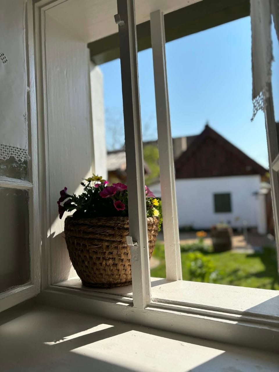 Property building, Spring, Day, Garden, Garden view