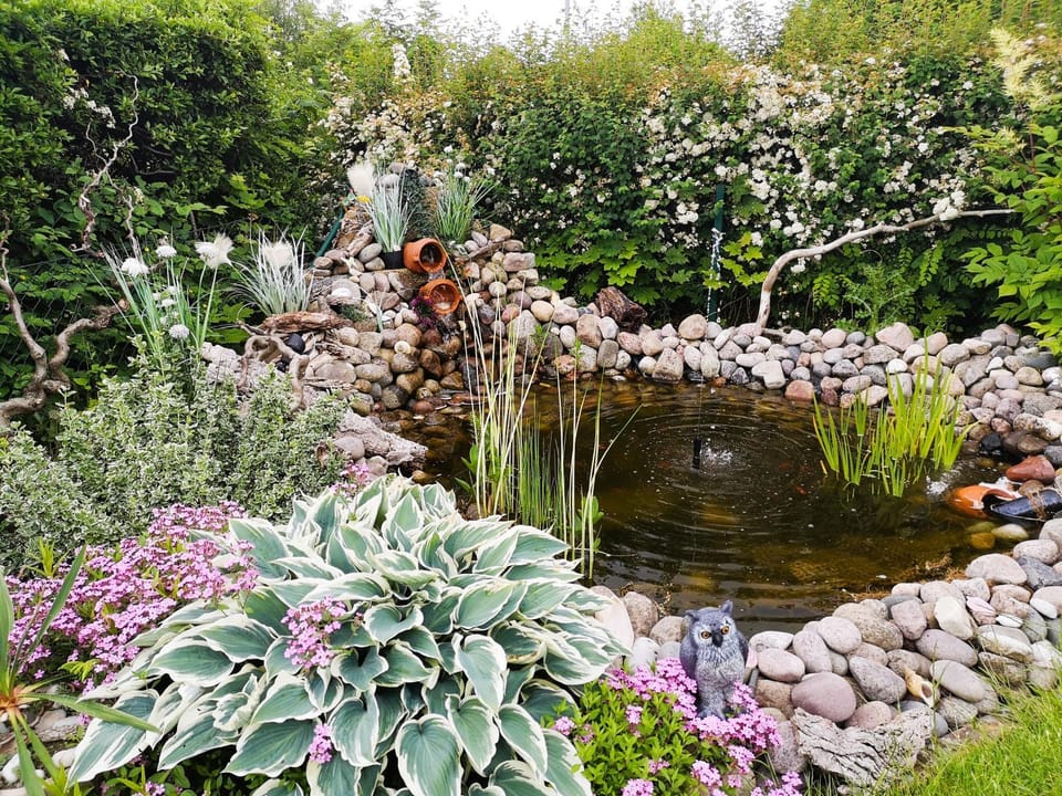 Garden view