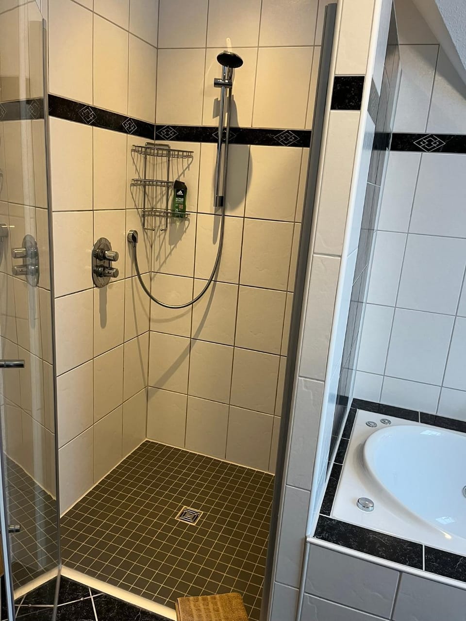 Shower, Bathroom