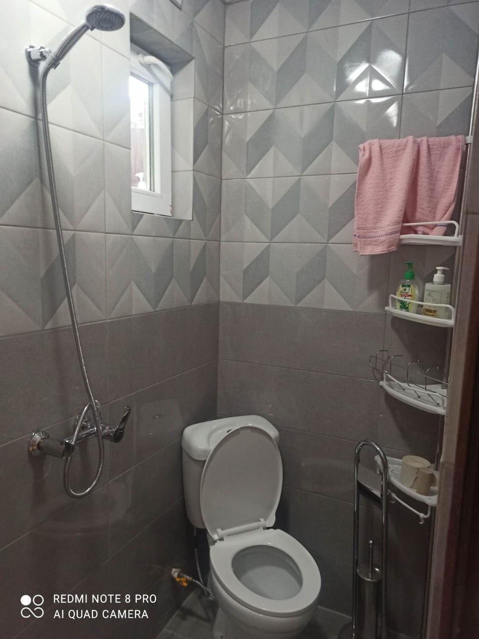 Shower, Toilet