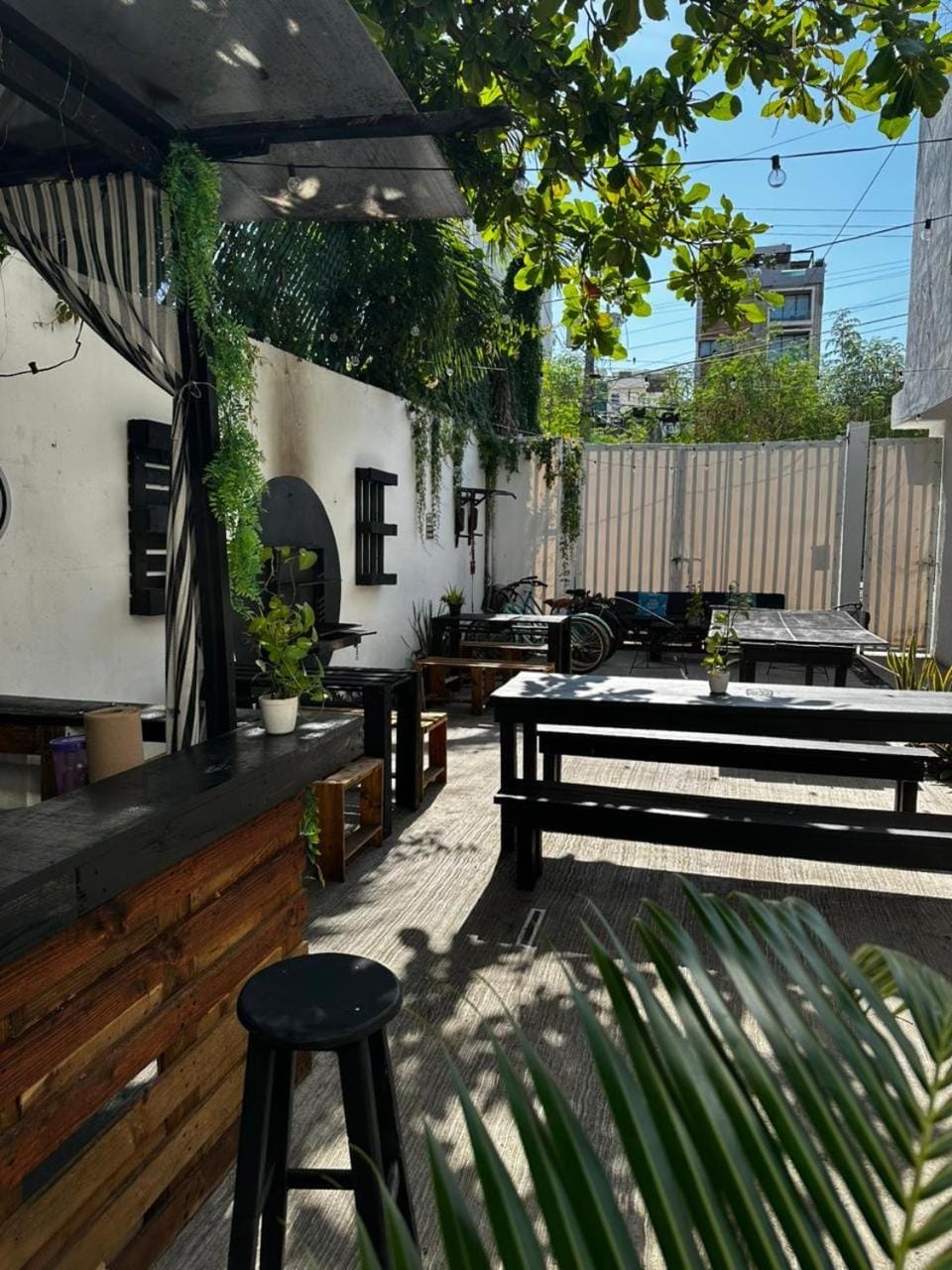 Patio, Garden