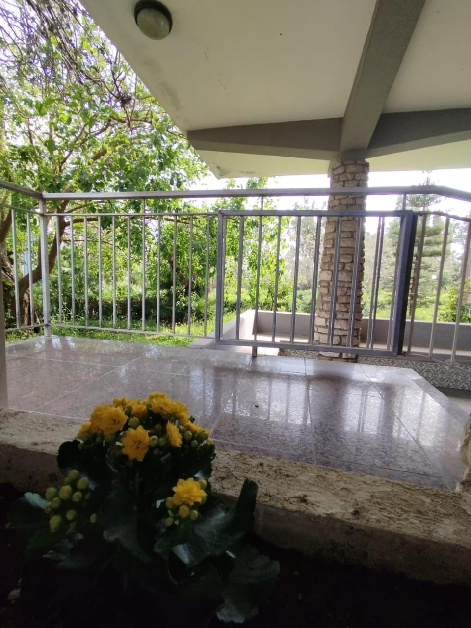 Villa Flora Garden Apartment in Termoli