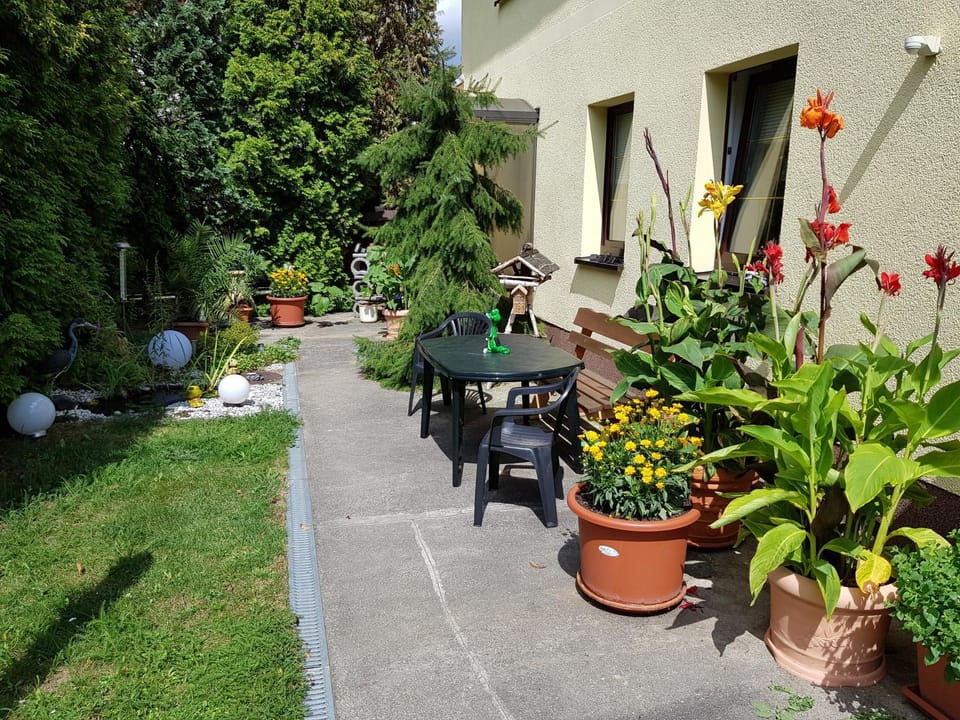 Property building, Patio