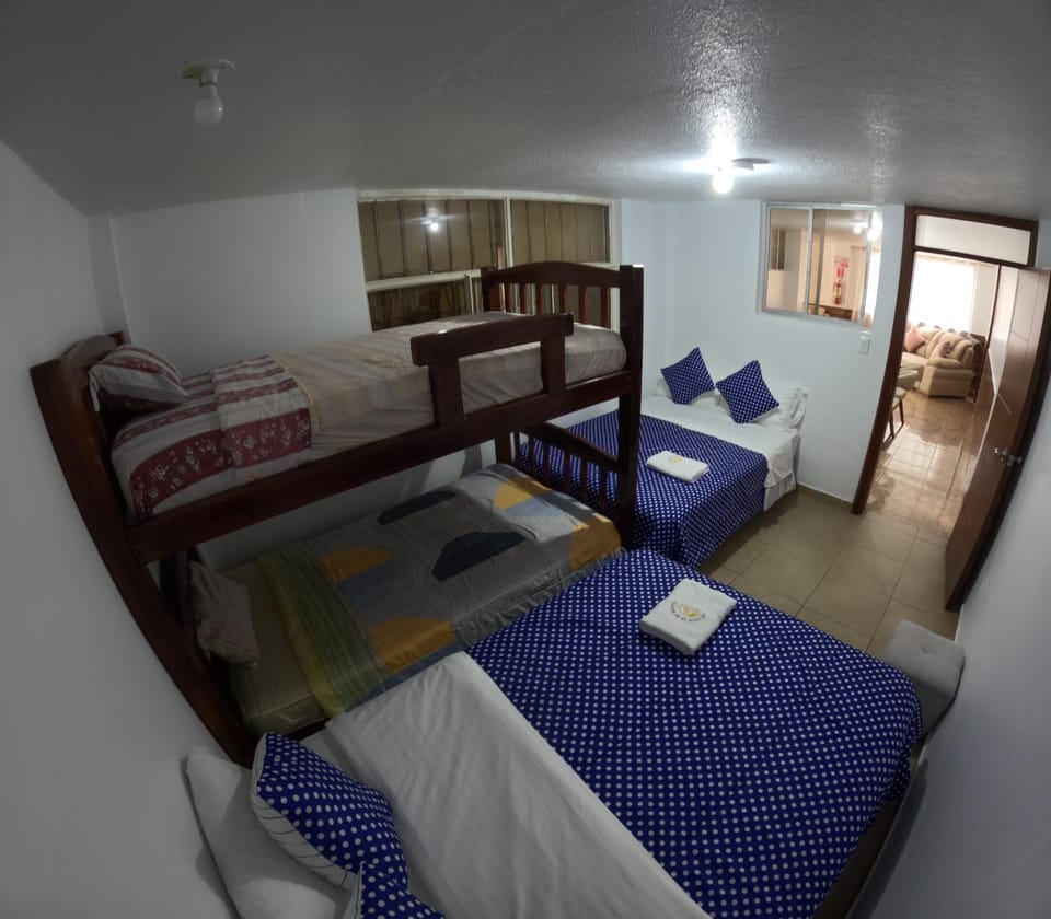 Bed, Photo of the whole room, Bedroom, bunk bed