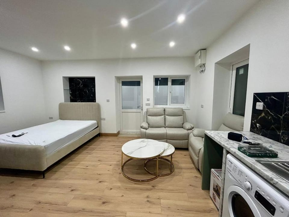 Private Studio with attached kitchen and bathroom Apartment in Limerick