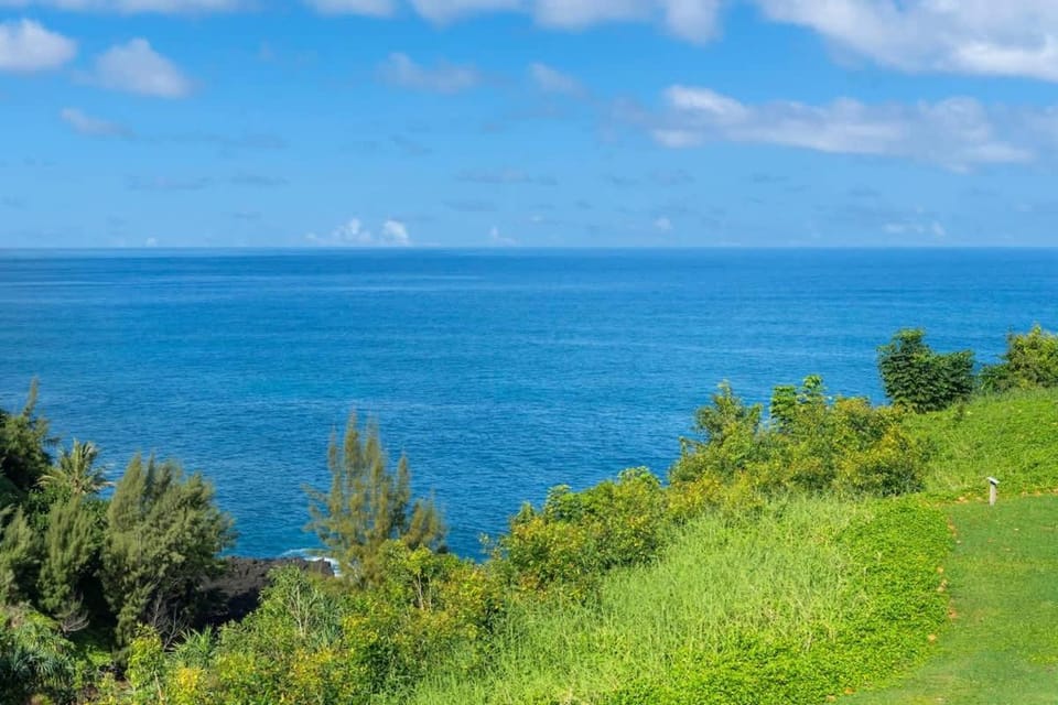 NEW Sunset Cove Hale Breathtaking View Pool AC House in Princeville
