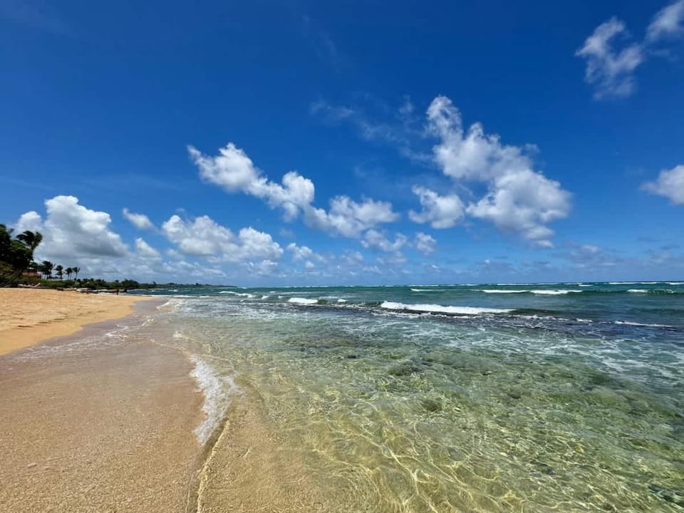 Waipouli F102 Stunning Beachfront Oasis & Pool House in Kauai