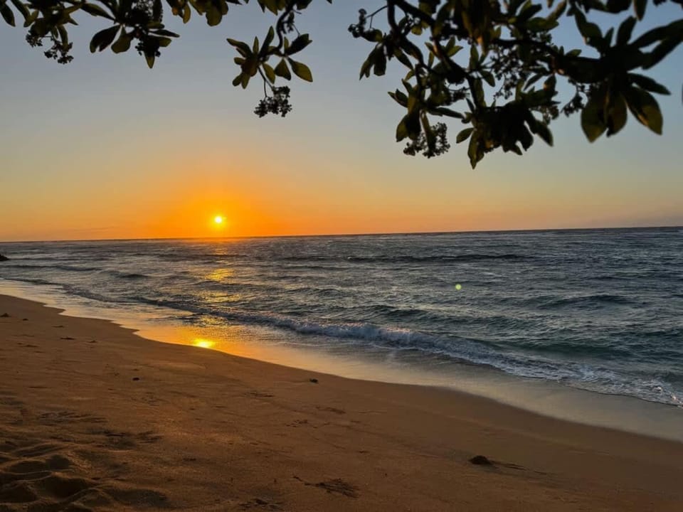 Waipouli F102 Stunning Beachfront Oasis & Pool House in Kauai