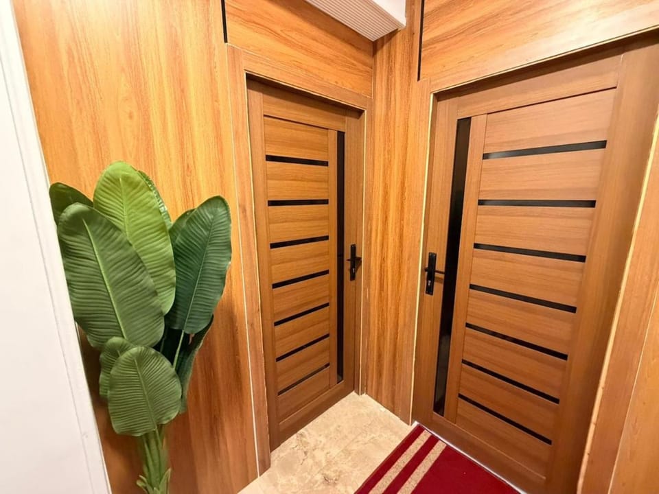 Cozy Apartment With Big Trace Apartment in Cairo