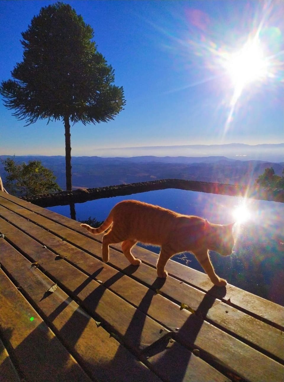 Janela do Céu - Serra da Bocaina House in State of Rio de Janeiro