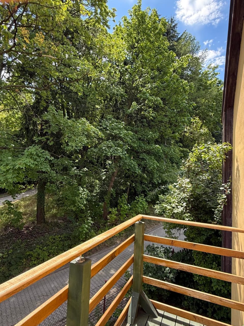 View (from property/room), Street view