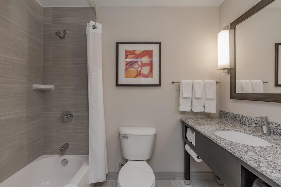 Shower, Toilet, Bathroom, Bath, towels