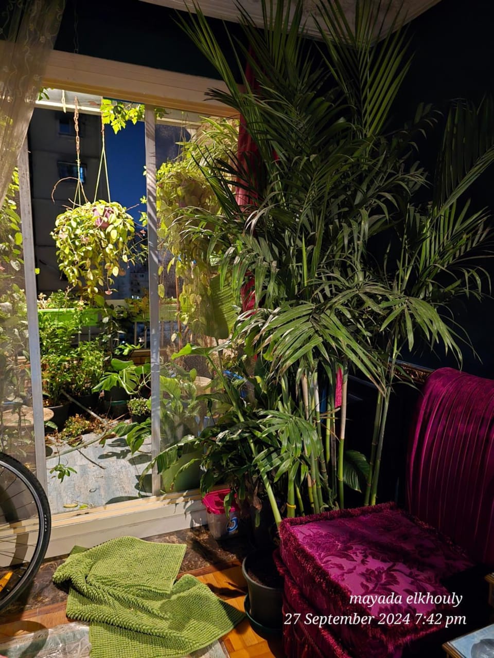 Lavender dream Apartment in Alexandria