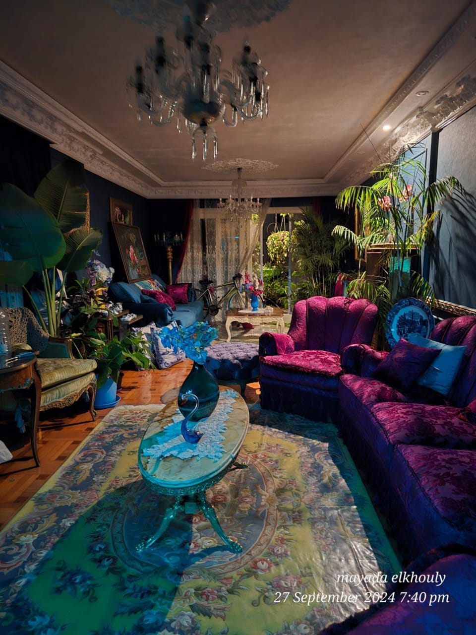Lavender dream Apartment in Alexandria