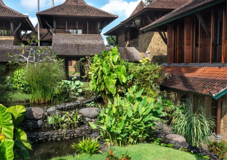 Property building, Garden, Garden view