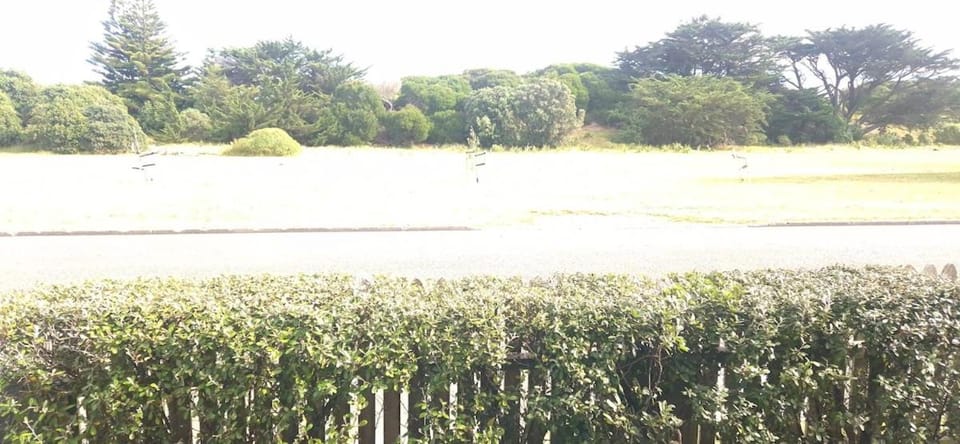 Natural landscape, Street view, Street view