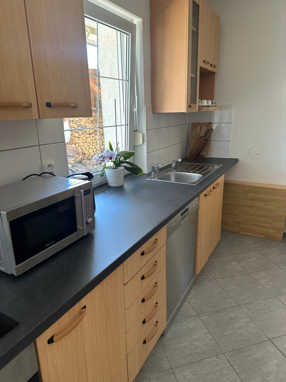 Kitchen or kitchenette, dishwasher, stove