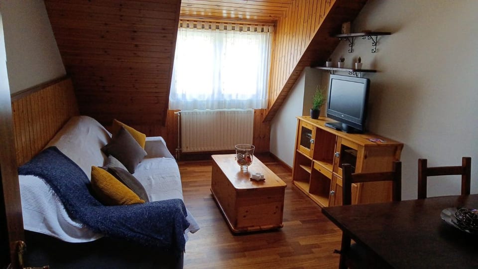 Ço d´Eric Apartment in Vielha