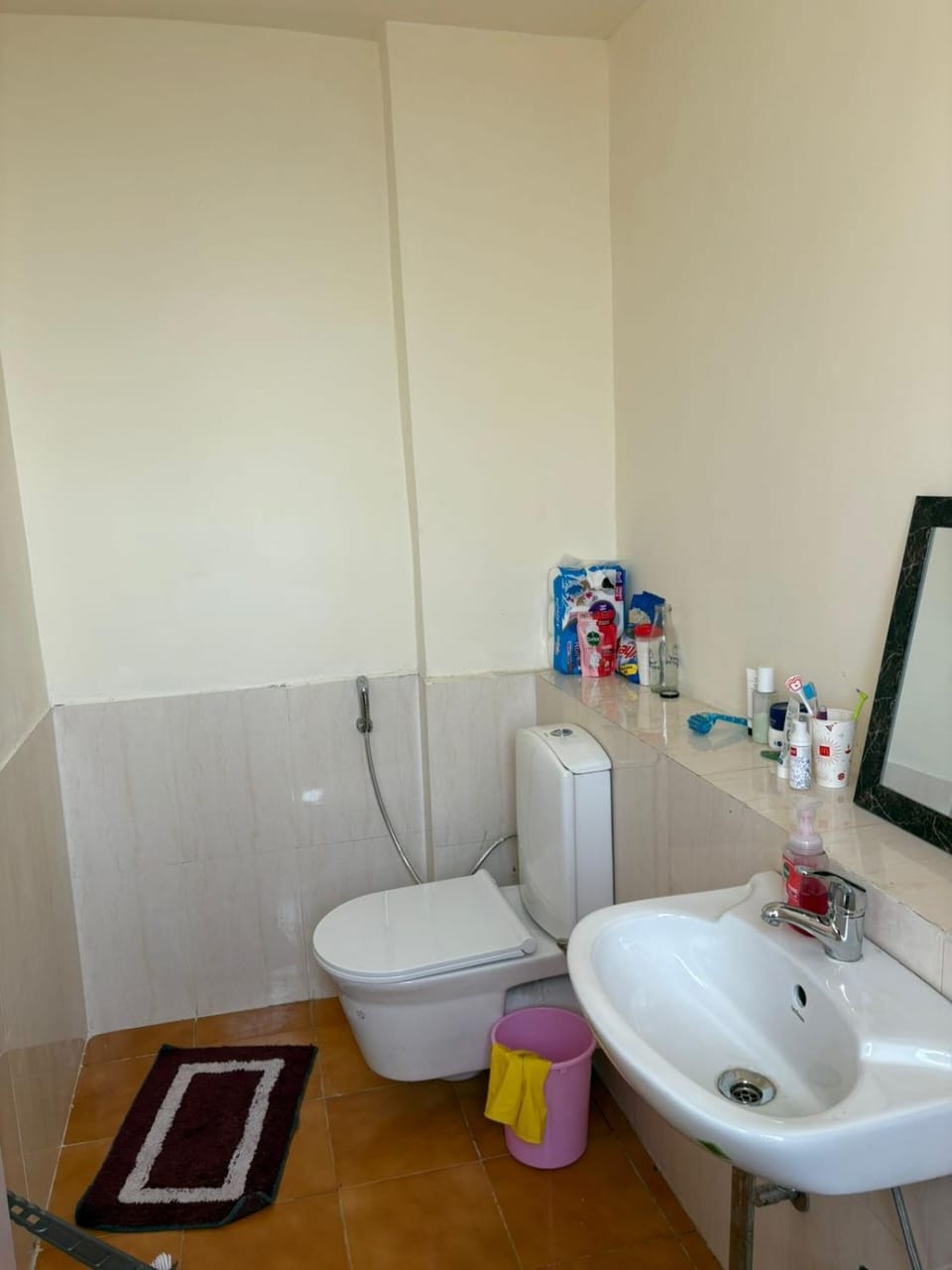 Express view homes Apartment in Noida