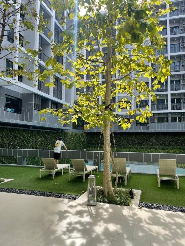 Кондо в центре Хуа Хине Apartment in Nong Kae