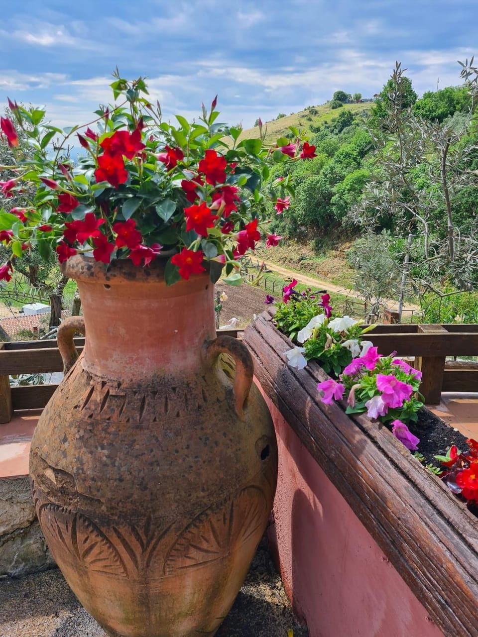Il Rifugio Rosa Villa in Lazio