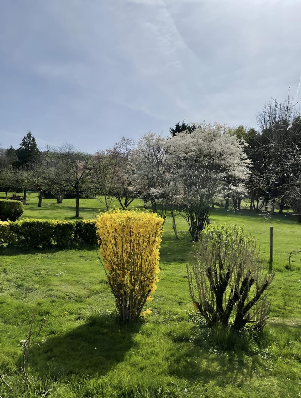 Maison campagne-Piscine-Chaulgnes House in Bourgogne-Franche-Comté