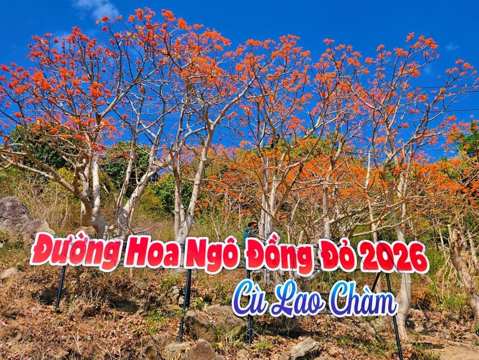Quỳnh s House Vacation rental in Hoi An