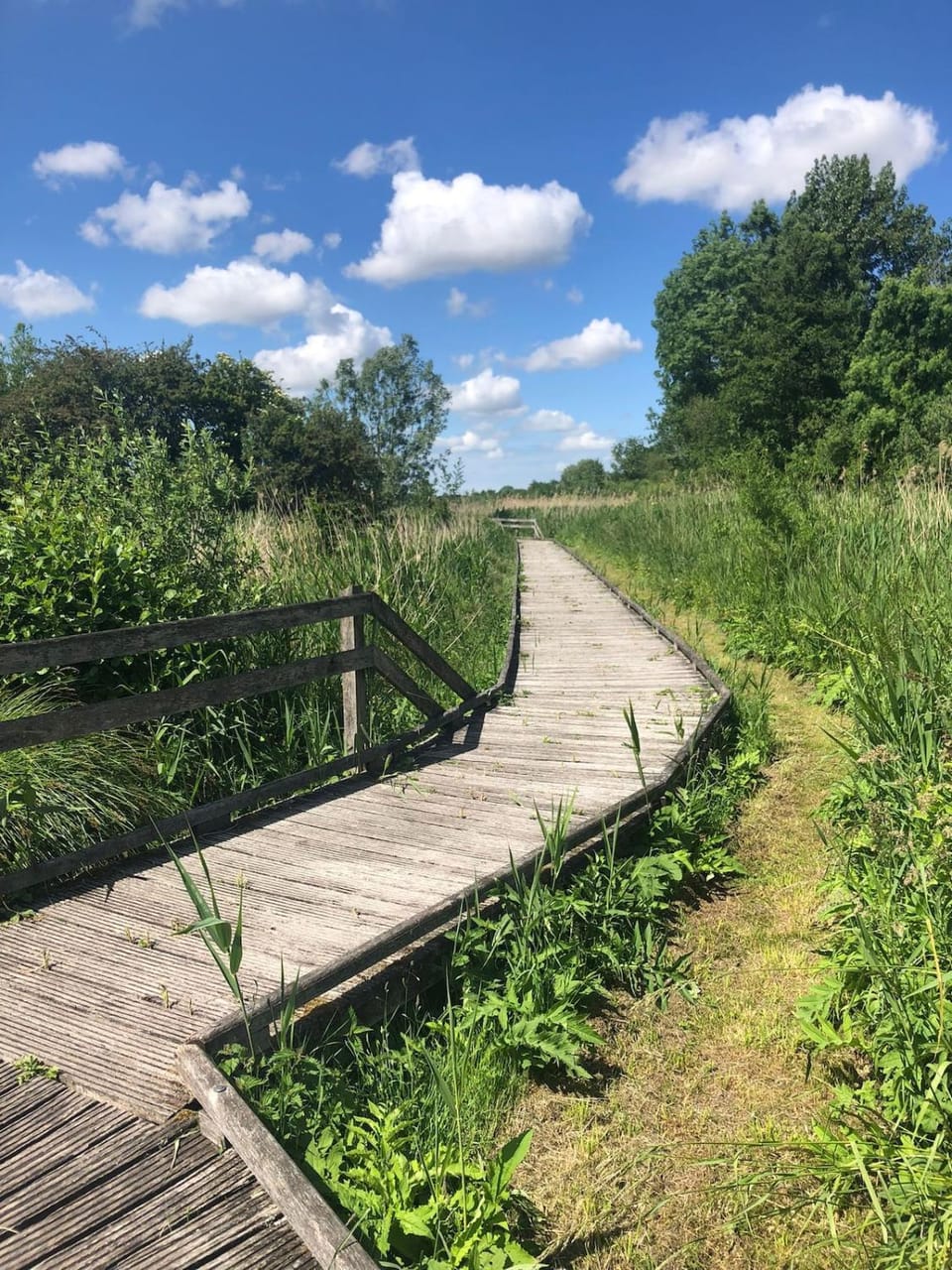 Nearby landmark
