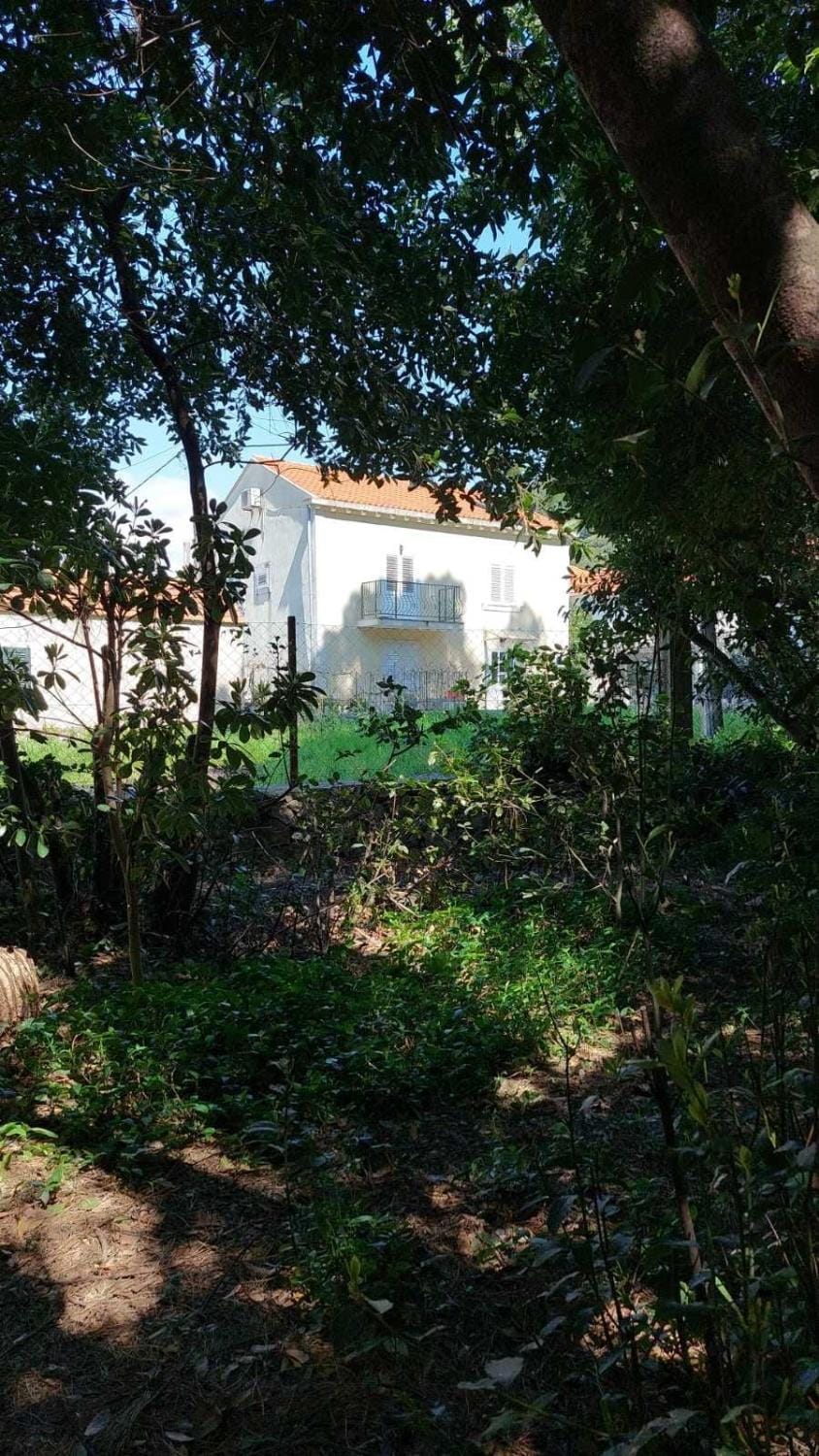 Dream Home Apartment in Lopud