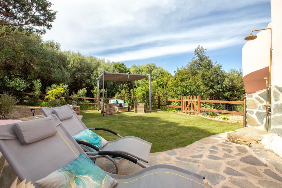 Natural landscape, Garden, Garden view, sunbed