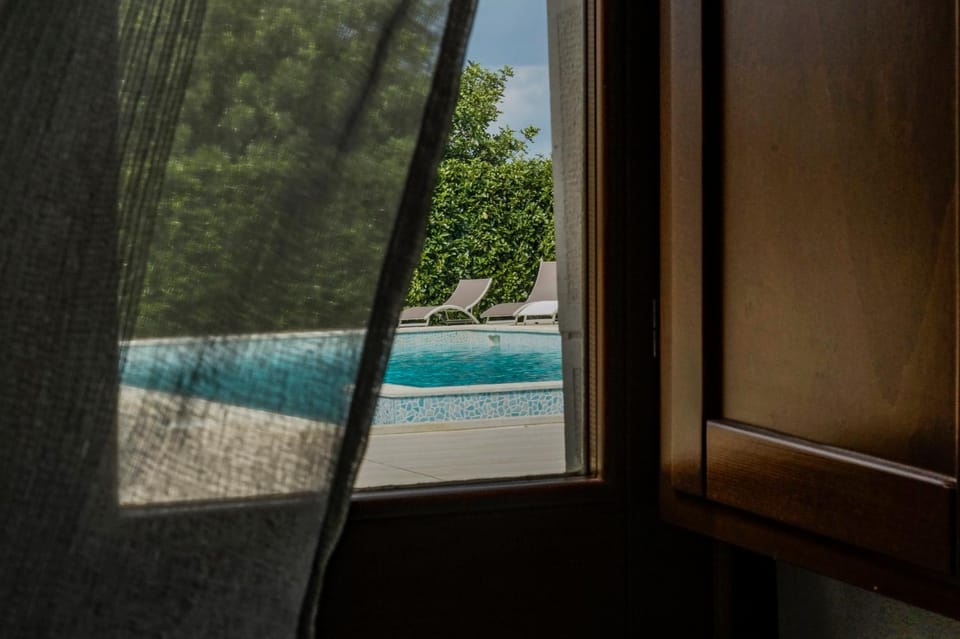 Day, Pool view, Swimming pool, sunbed