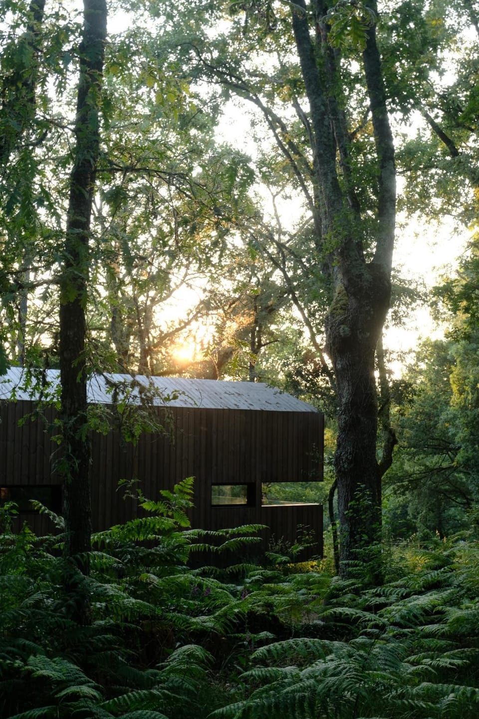 Off site, Natural landscape