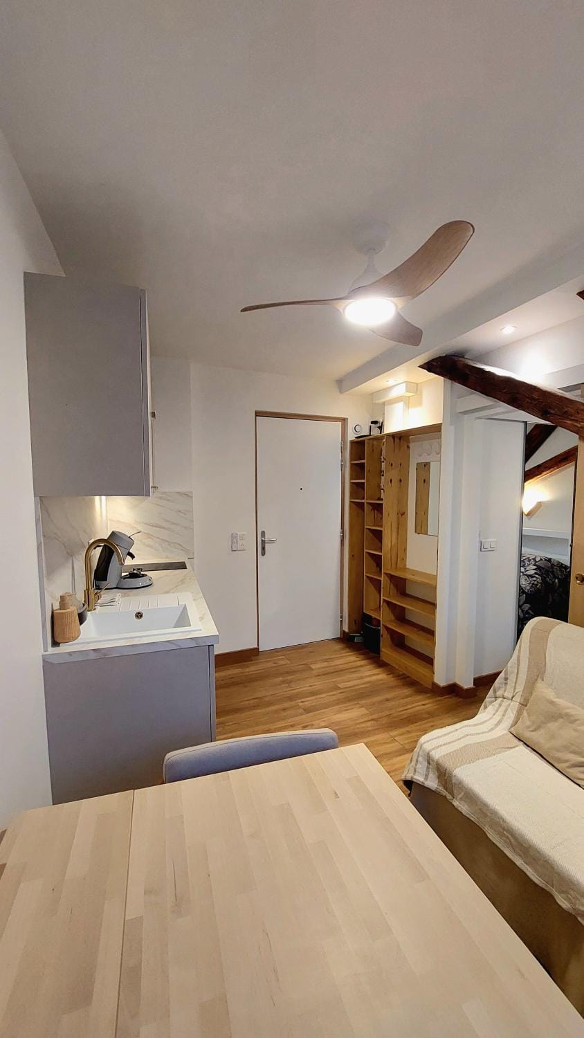 Appartement cosy au cœur d'Aix-les-Bains Apartment in Aix-les-Bains
