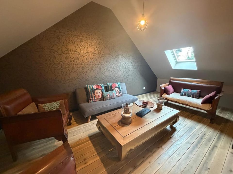 Character house with heated pool and spa Villa in Joué-lès-Tours