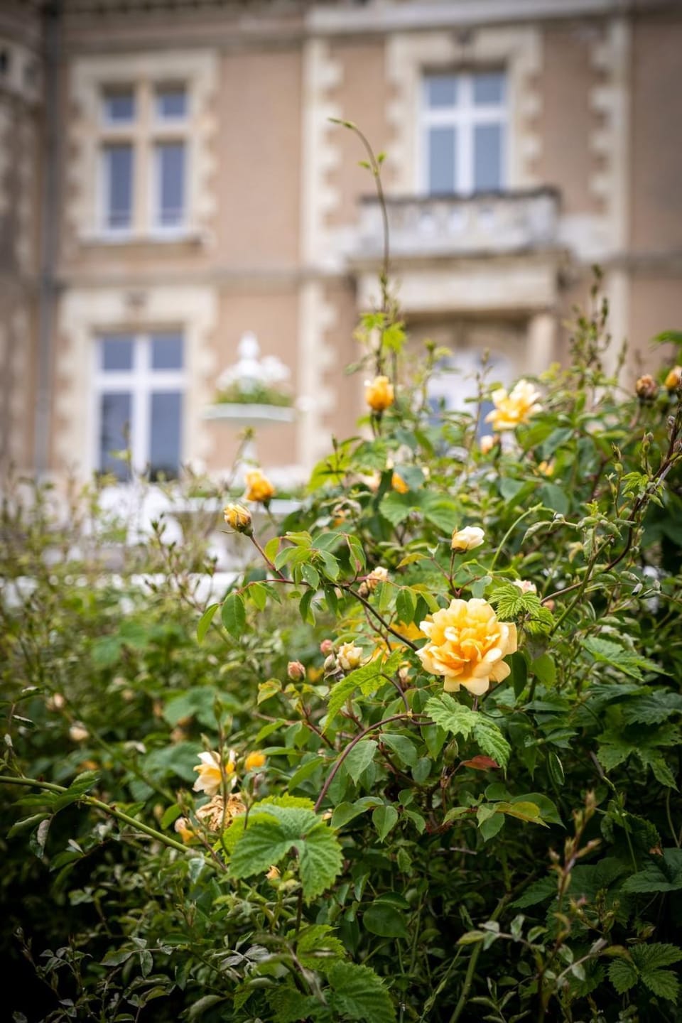 Château Beausoleil Villa in Carquefou