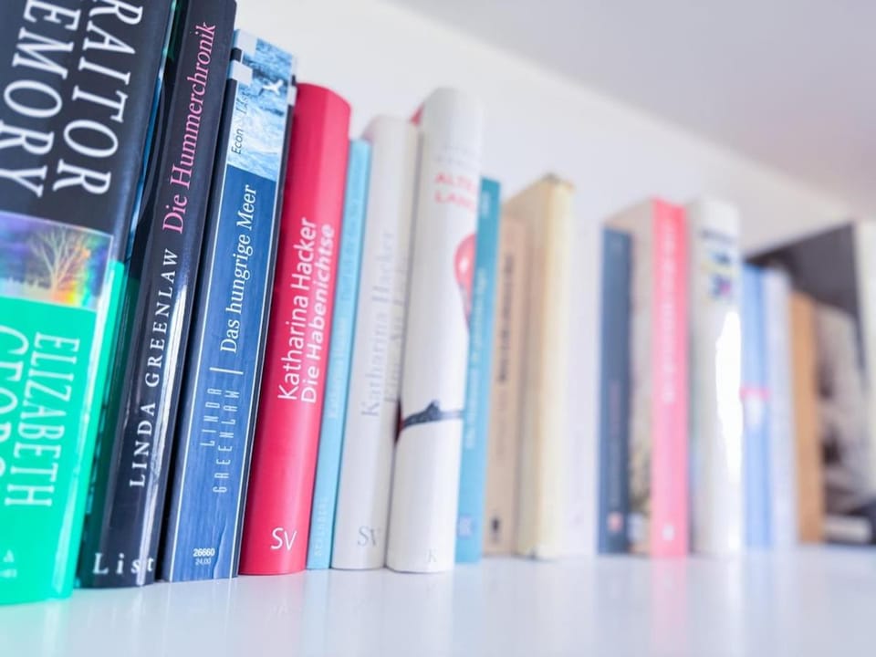 Urlaub, gerne auch mit Hund, in Stade! Apartment in Stade